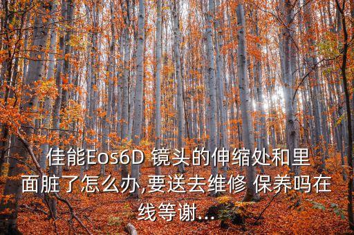  佳能Eos6D 镜头的伸缩处和里面脏了怎么办,要送去维修 保养吗在线等谢...