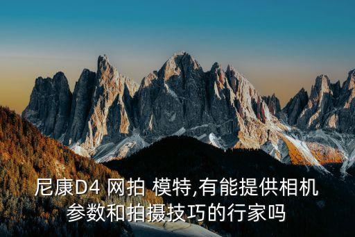 尼康D4 网拍 模特,有能提供相机参数和拍摄技巧的行家吗