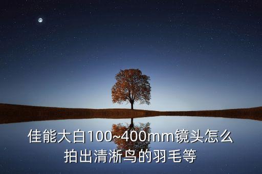 佳能大白100~400mm镜头怎么拍出清淅鸟的羽毛等