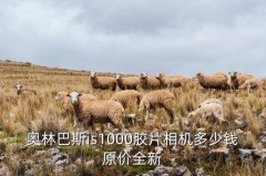 <b>奥林巴斯is500多少钱，奥林巴斯is1000胶片相机多少</b>