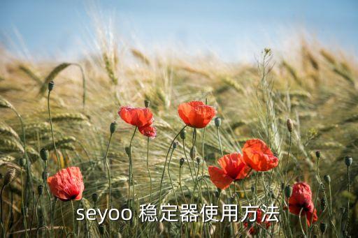 seyoo 稳定器使用方法