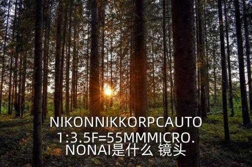 NIKONNIKKORPCAUTO1:3.5F=55MMMICRO.NONAI是什么 镜头