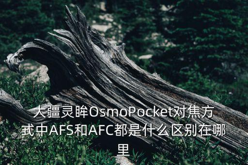 大疆灵眸OsmoPocket对焦方式中AFS和AFC都是什么区别在哪里