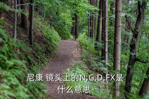  尼康 镜头上的N,G,D,FX是什么意思