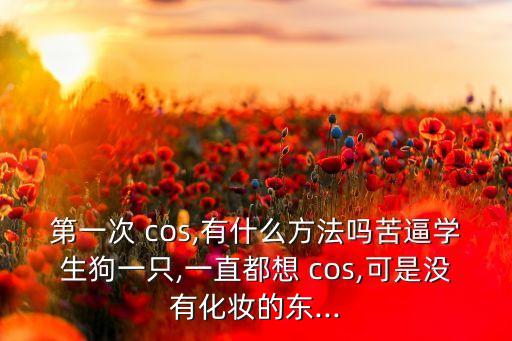 第一次 cos,有什么方法吗苦逼学生狗一只,一直都想 cos,可是没有化妆的东...