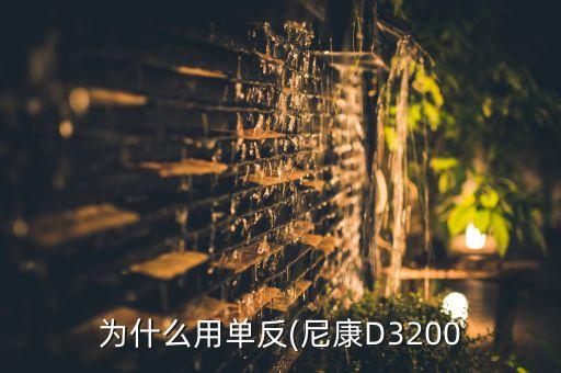 为什么用单反(尼康D3200