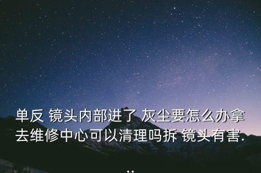 单反 镜头内部进了 灰尘要怎么办拿去维修中心可以清理吗拆 镜头有害...