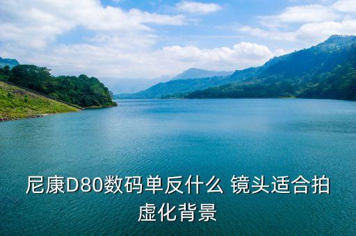 尼康D80数码单反什么 镜头适合拍虚化背景