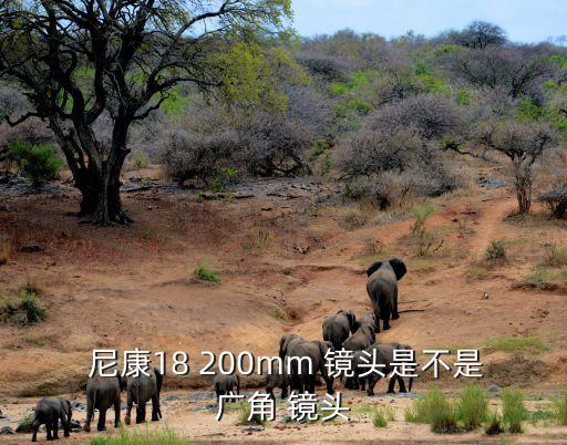  尼康18 200mm 镜头是不是广角 镜头