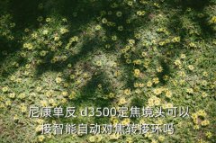 尼康d3500换镜头,尼康D3500镜头搭配