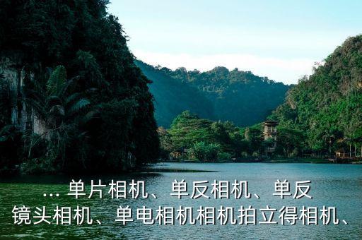 ... 单片相机、单反相机、单反 镜头相机、单电相机相机拍立得相机、