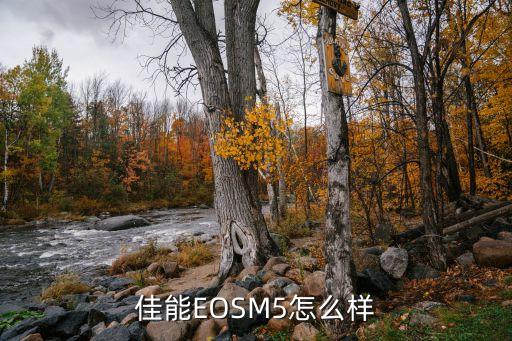 佳能EOSM5怎么样