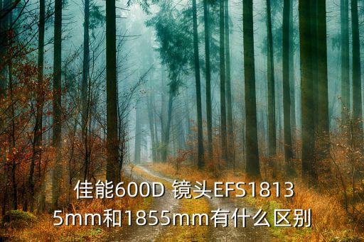  佳能600D 镜头EFS18135mm和1855mm有什么区别