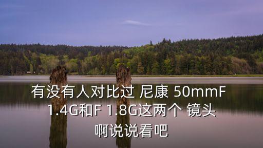 有没有人对比过 尼康 50mmF 1.4G和F 1.8G这两个 镜头啊说说看吧