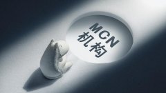 <strong>抖音mcn机构是什么意思（</strong>