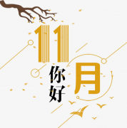 11月有什么节日（11个重要