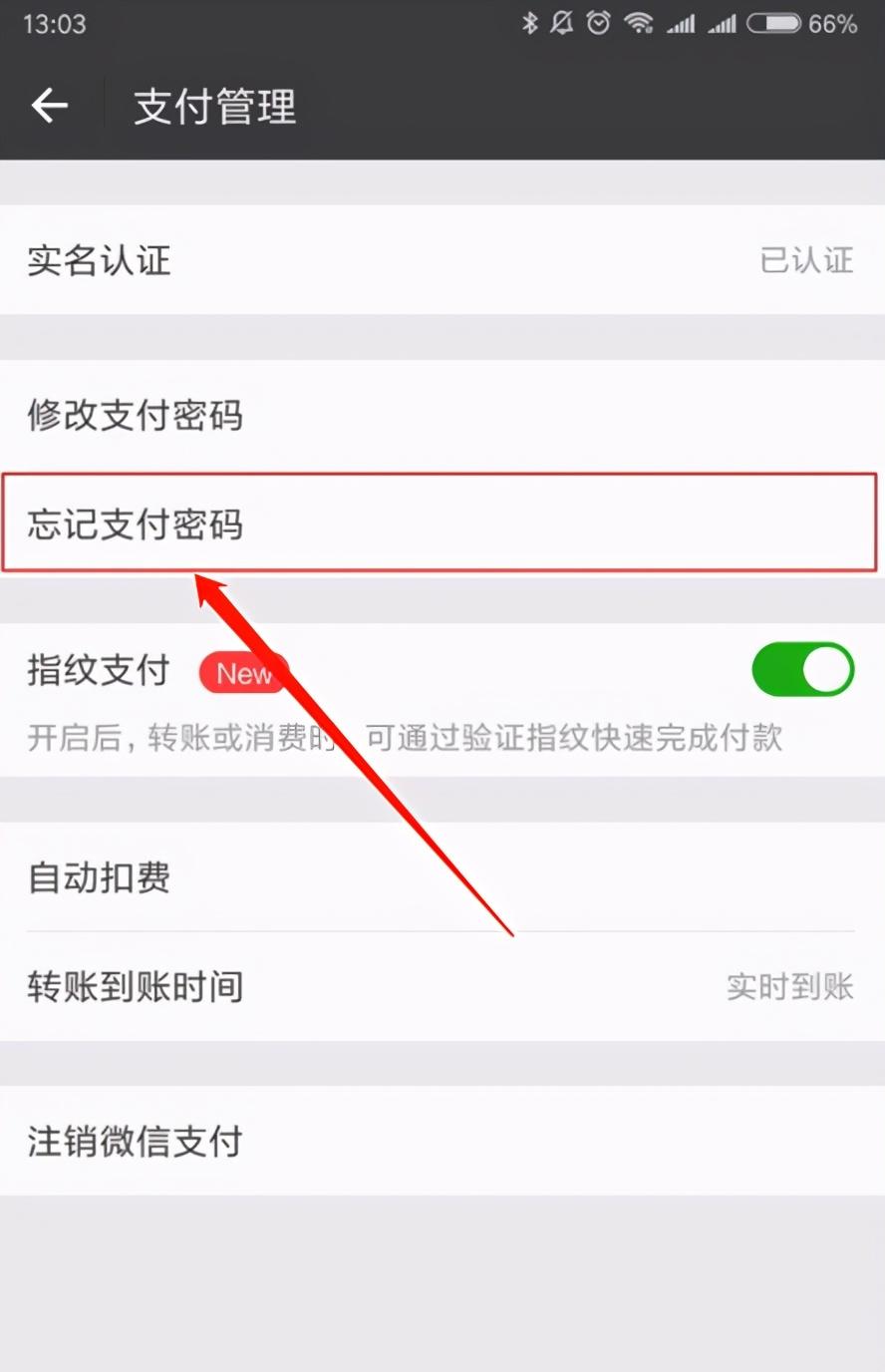 进入支付管理页面后，点击忘记支付密码