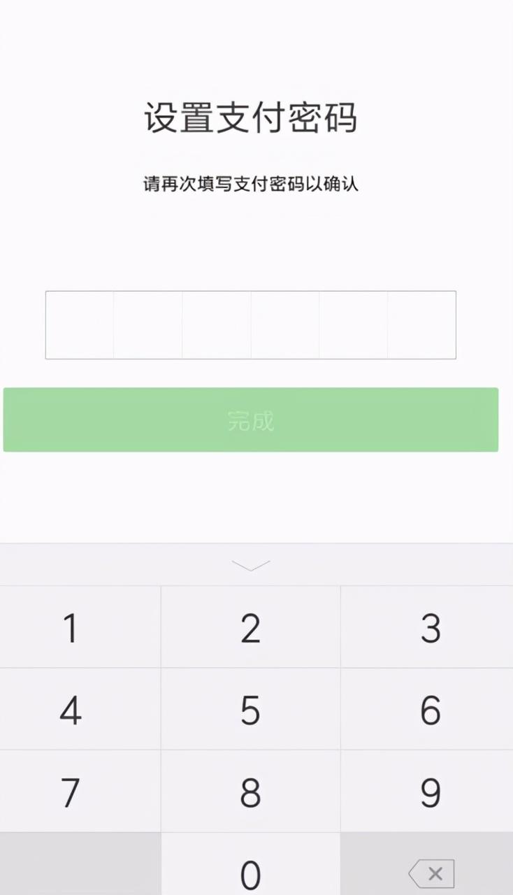 弹出新页面后，输入新设置的支付密码即可