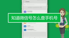 微信查询手机号方法（了解在微信中查询手机号